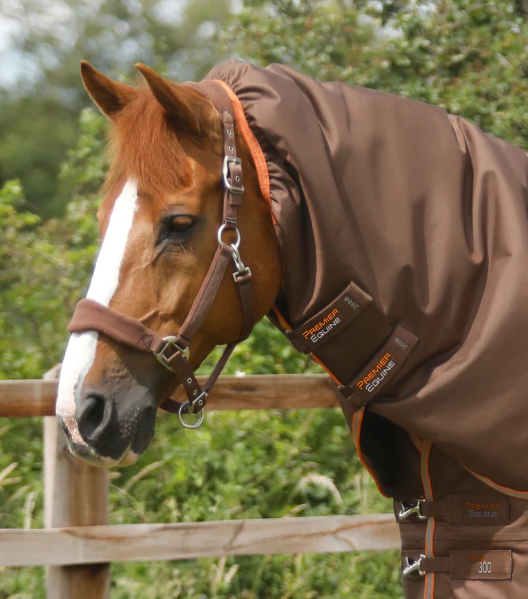 Premier Equine Titan 300g Turnout Rug with Snug-Fit Neck Cover brown B