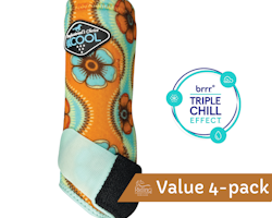 2XCool Sports Medicine Boots 4-pack Flower