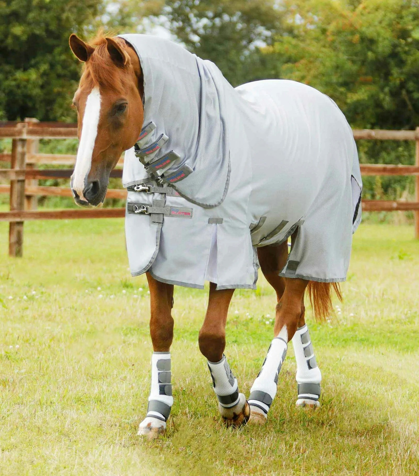 Premier Equine Bug Buster Fly Rug with Belly Flap B