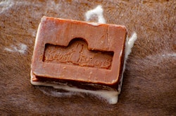 Kevin Bacon´s Active Soap Anti-Itch Soap