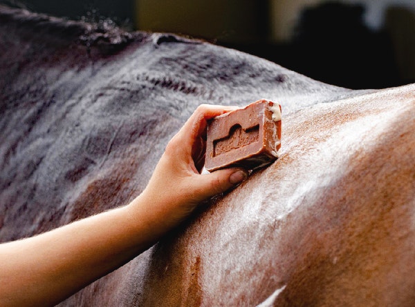 Kevin Bacon´s Active Soap Anti-Itch Soap