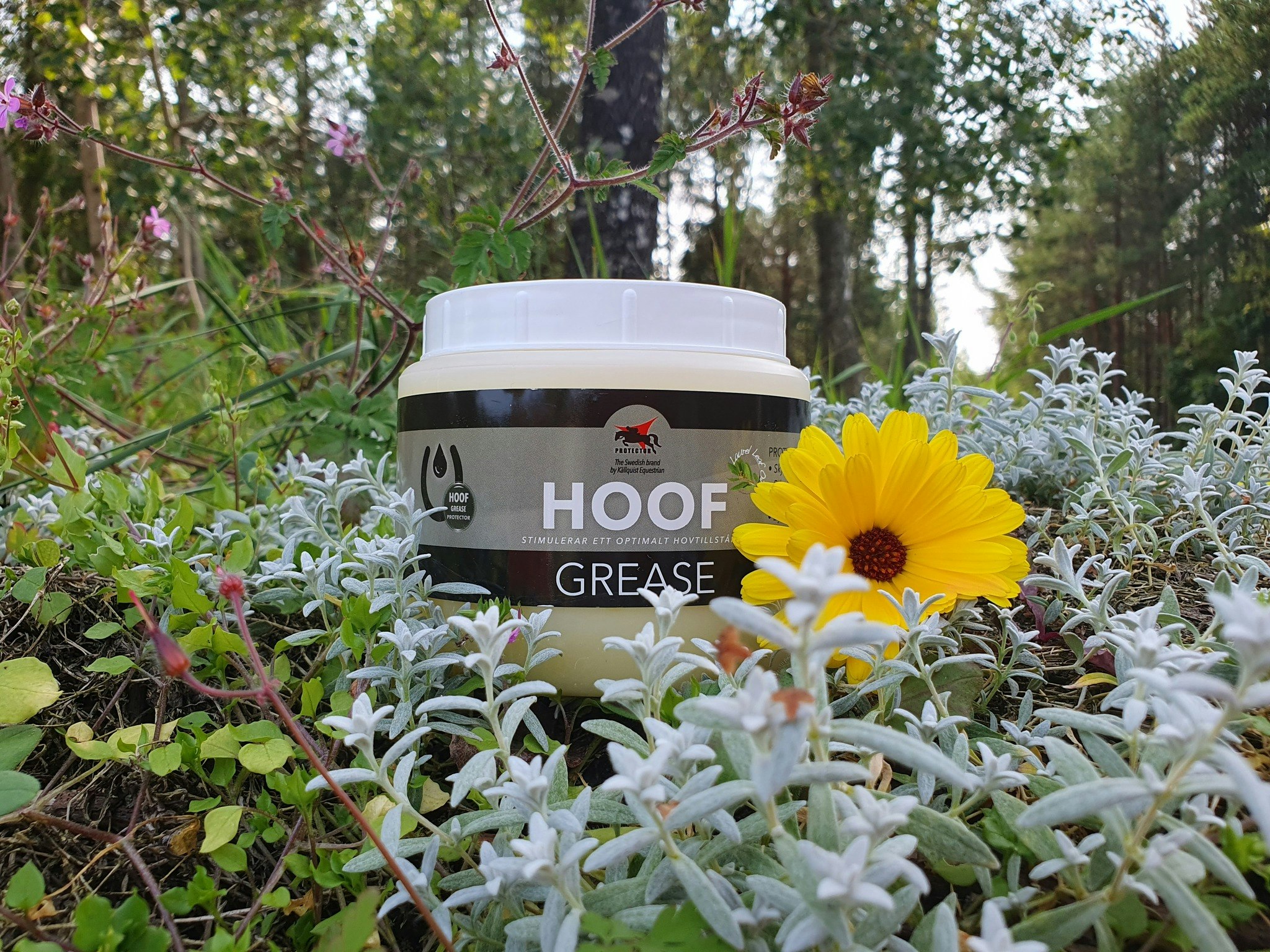 Protector Hoof Grease