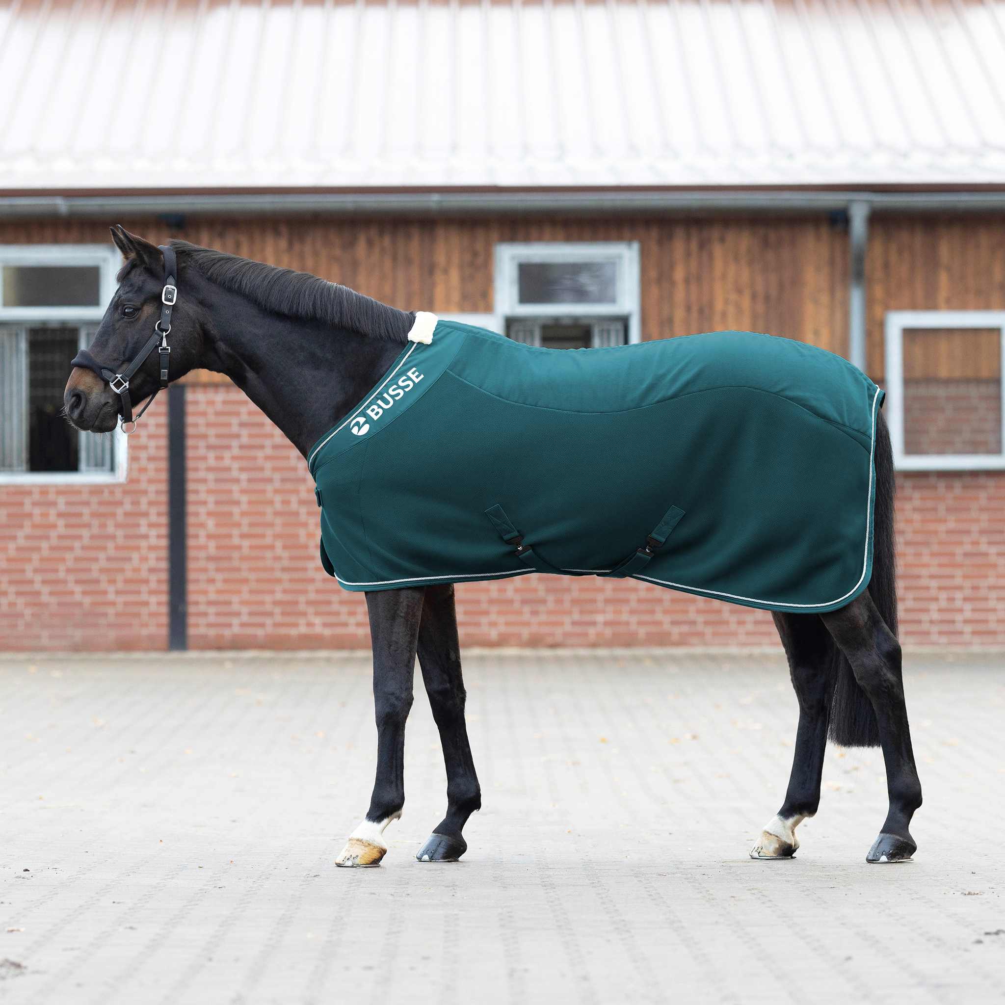 Busse Sweat rug 3D Air Fleece Premium Teal B