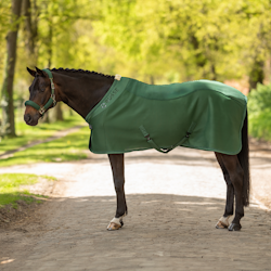 Busse Sweat rug 3D Air Fleece Premium Emerald B