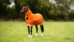 Stratus 1200 Series Turnout Rug with Classic Neck Cover B