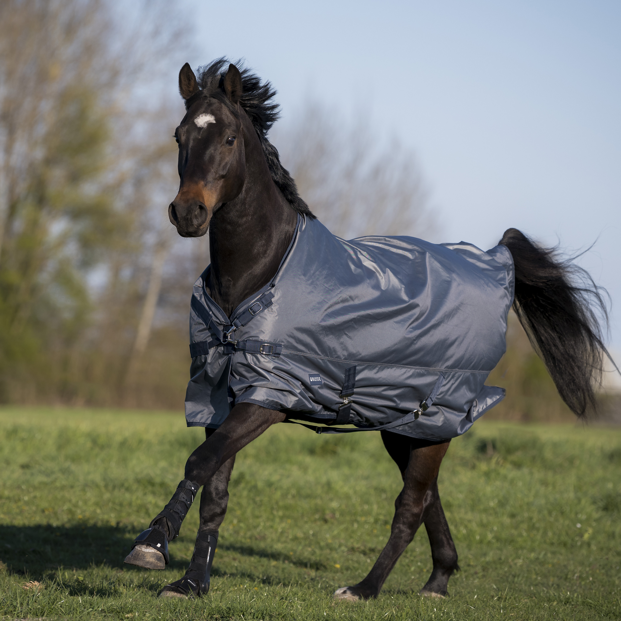 Busse Turnout Rug Windchill 00