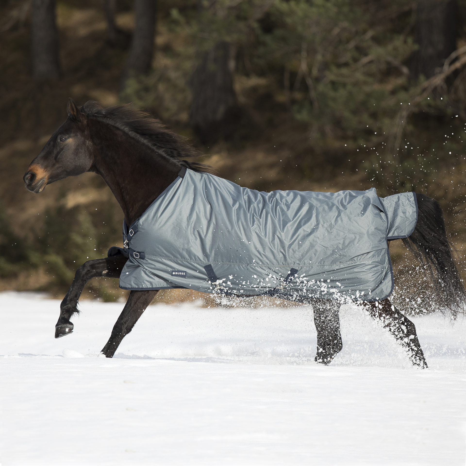 Busse Turnout Rug Windchill 100