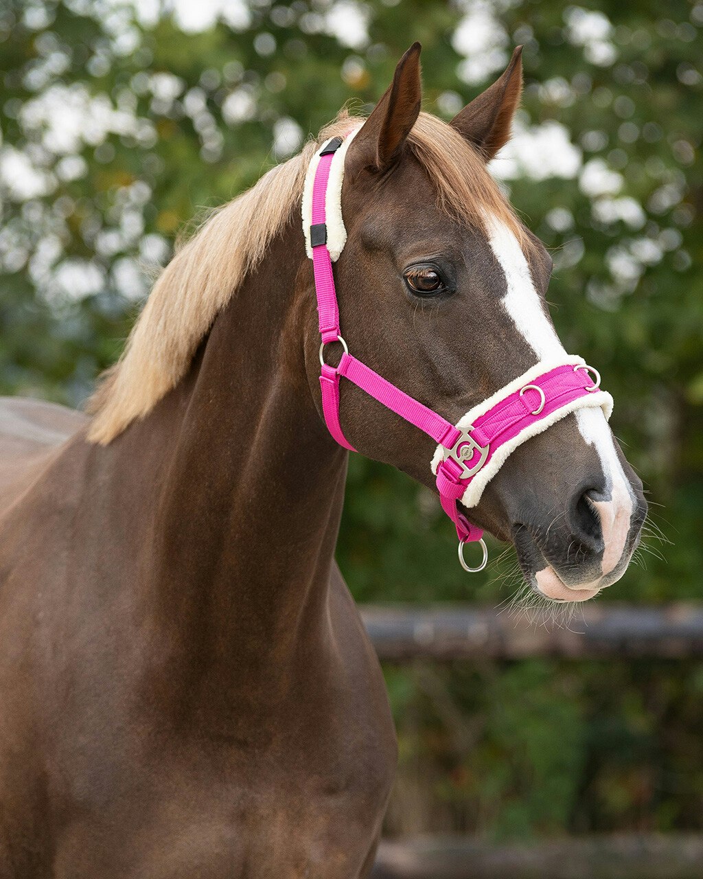 QHP Kapson Fuchsia