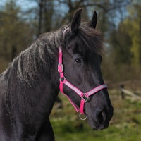 Grimma Romana Pink