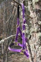 Shires Topaz Halter Purple Small Pony