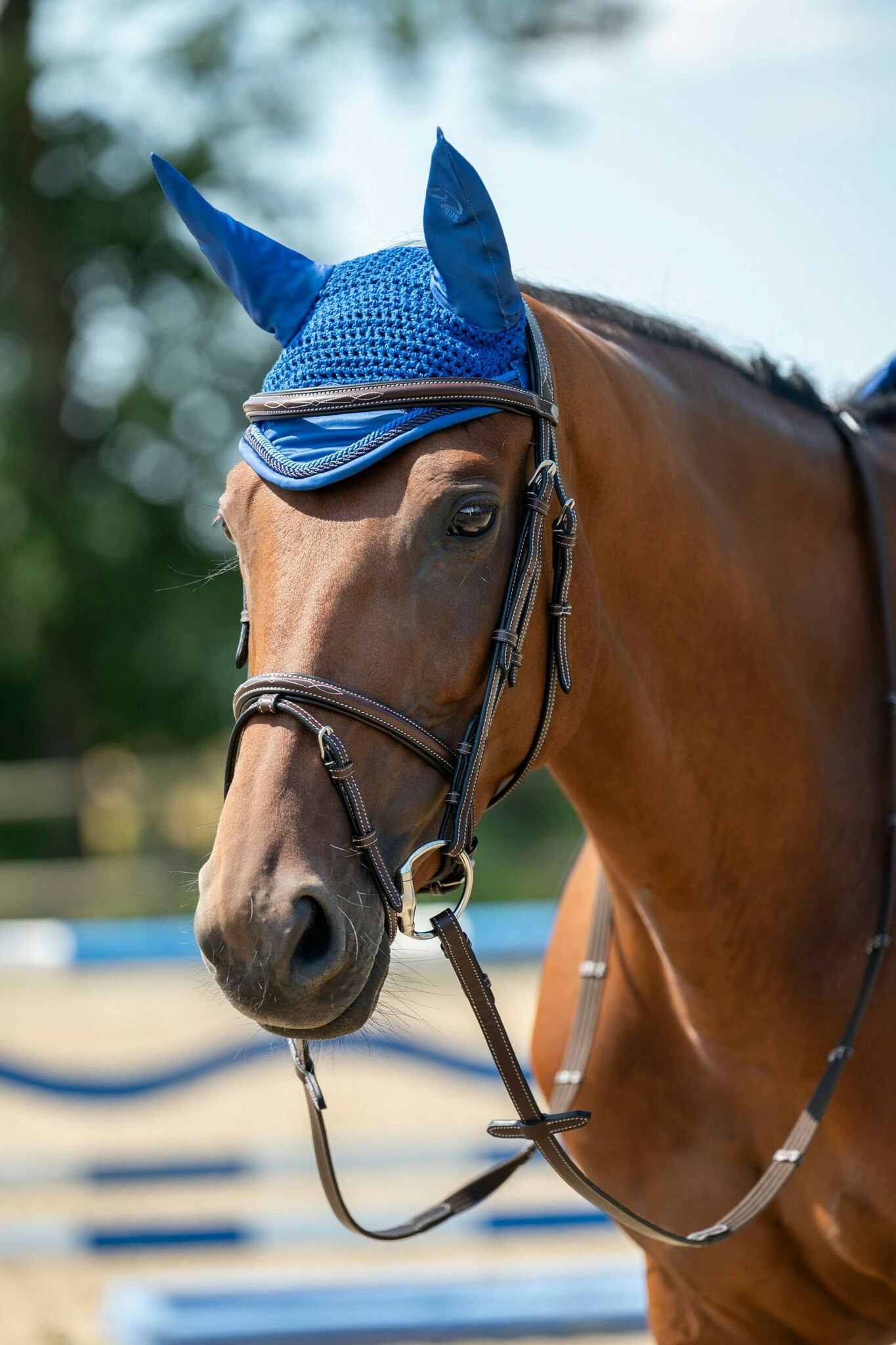 HKM Flughuva Essentials Royalblå