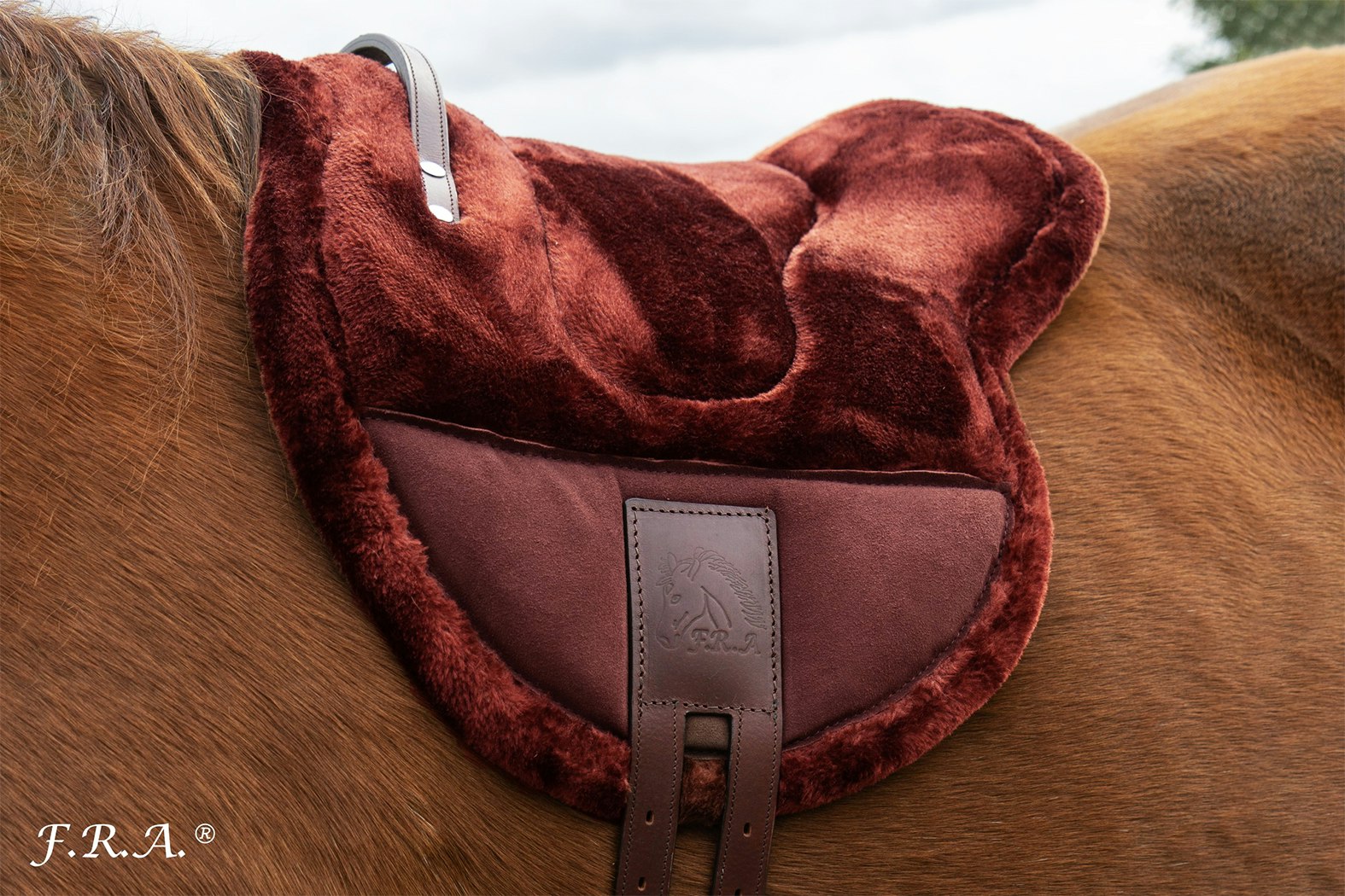 F.R.A® Ridpad / Barbackasadel Burgundy/Brown Cob/Full