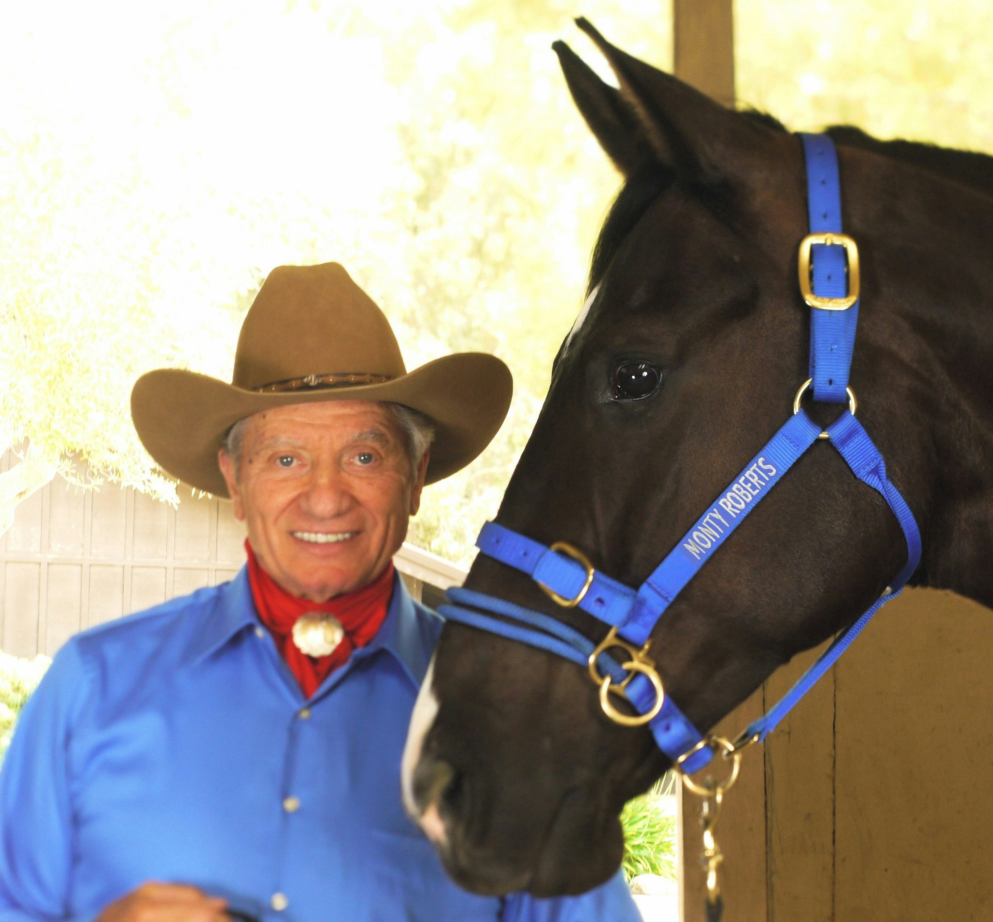 Monty Roberts Dually Halter Large Blå