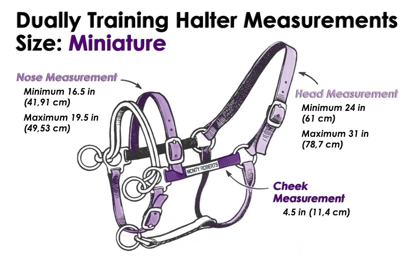 Monty Roberts Dually Halter Mini Lila