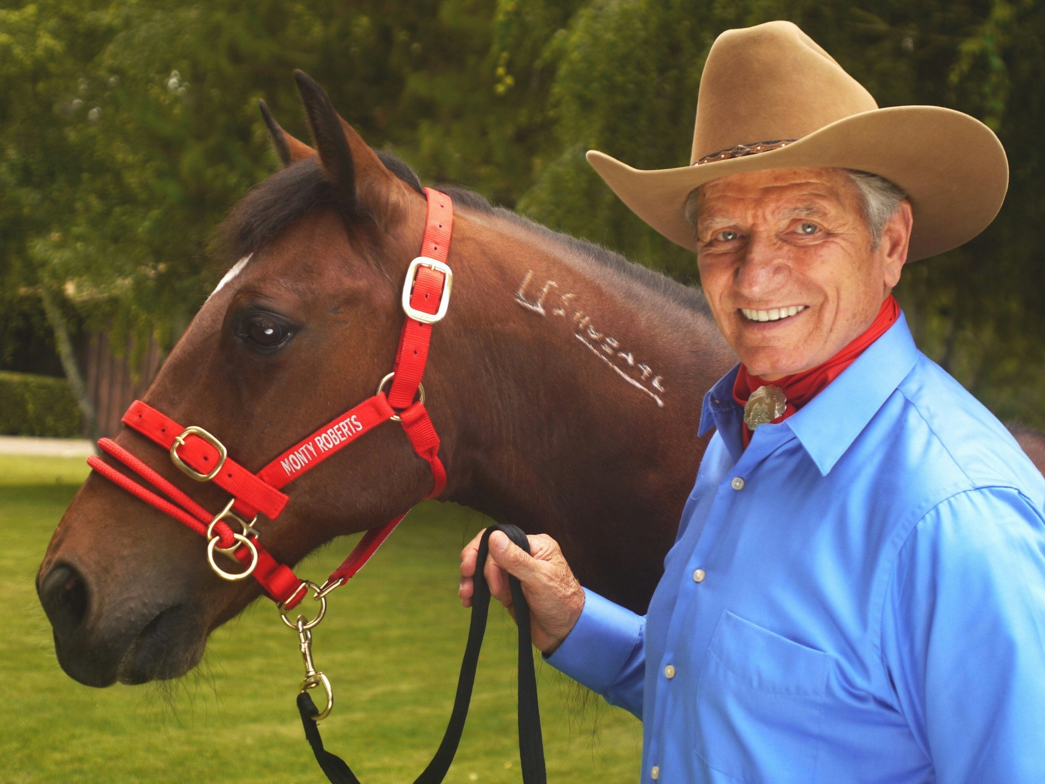 Monty Roberts Dually Halter Small Röd