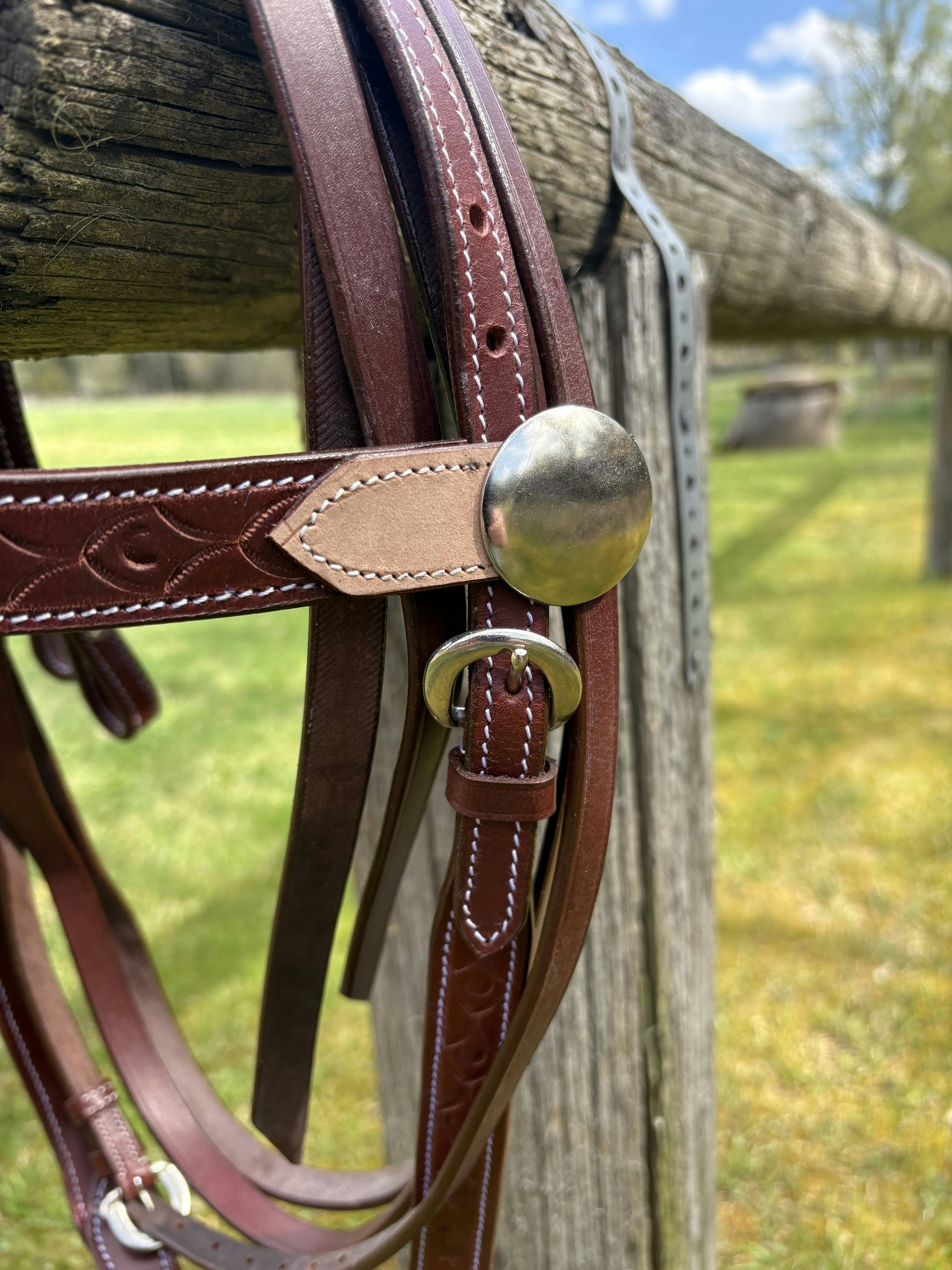 Randol´s Two Tone Bridle