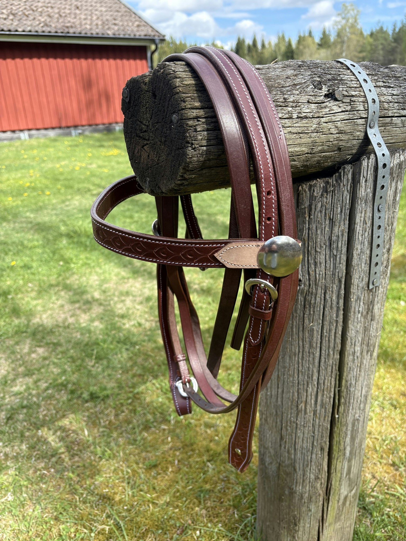 Randol´s Two Tone Bridle