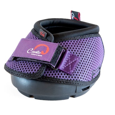 F.R.A.® Cavallo Trek Purple