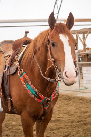 Schulz Equine Mohair Breast Collar Rost