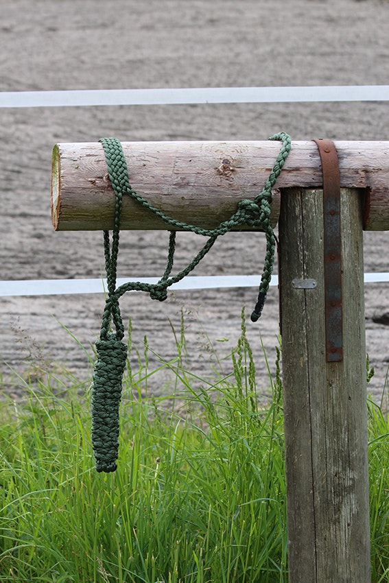 All That Braided Rope Halter Olive