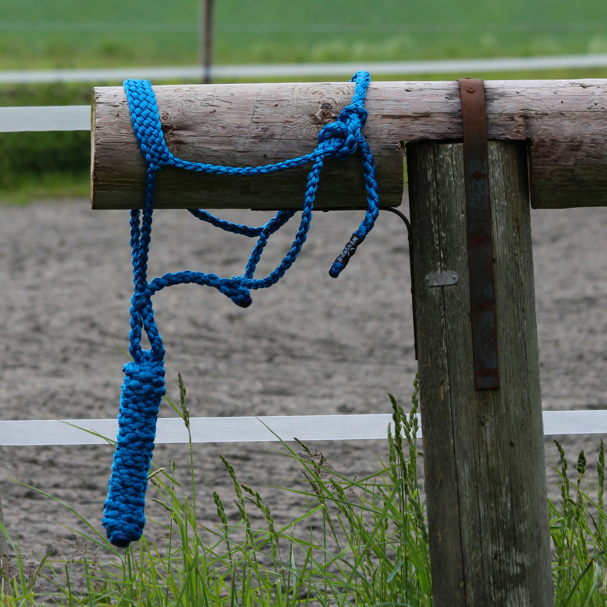 All That Braided Rope Halter Turquoise