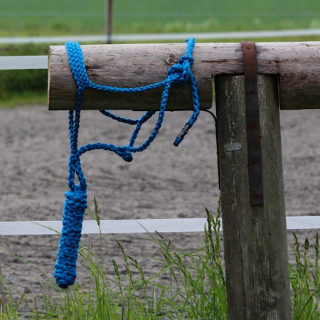 All That Braided Rope Halter Turquoise