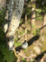 Lucky Charm 8