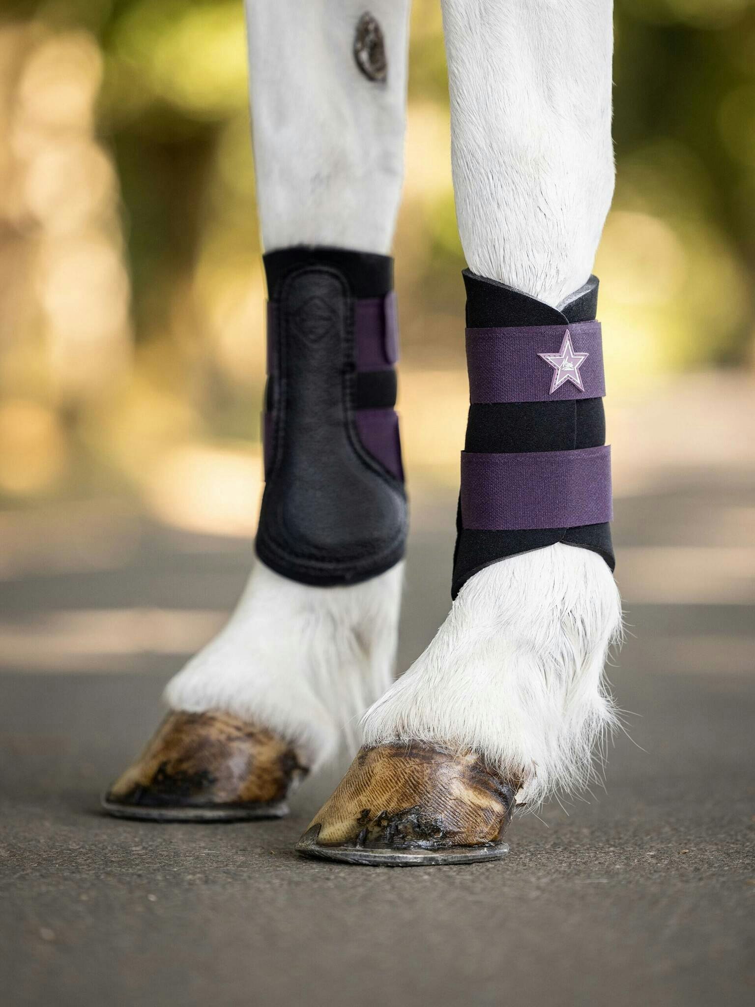 LM Mini Brushing Boot Fig