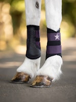 LM Mini Brushing Boot Fig