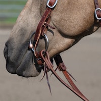 Weaver Professional Ring Snaffle Bit 5" Copper Mouth