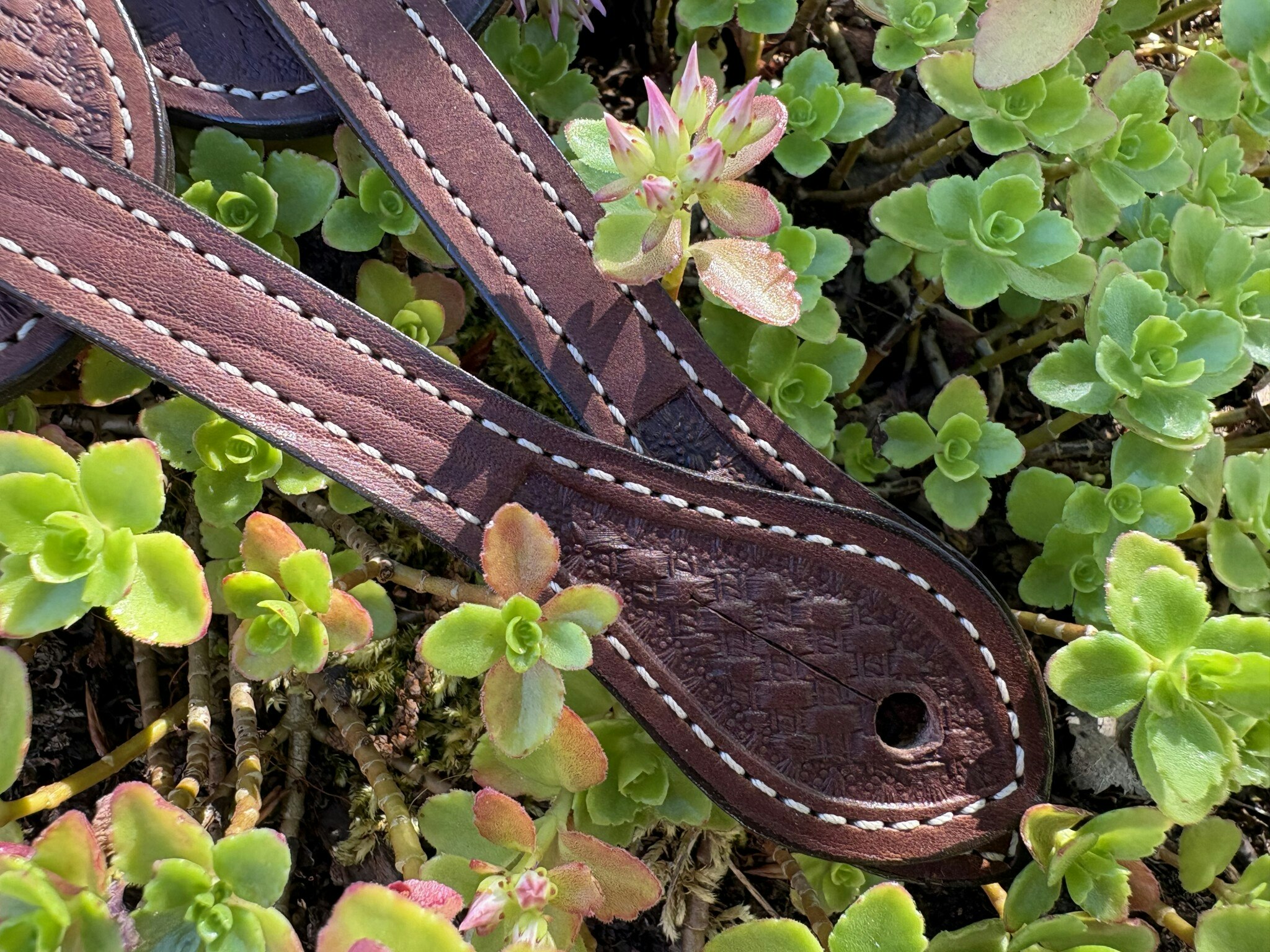 Weaver Basin Cowboy Spur Straps Cowboy