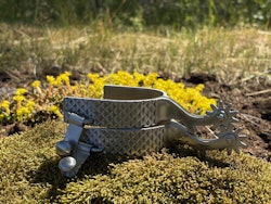 Weaver Mens Spur with Rasp Design