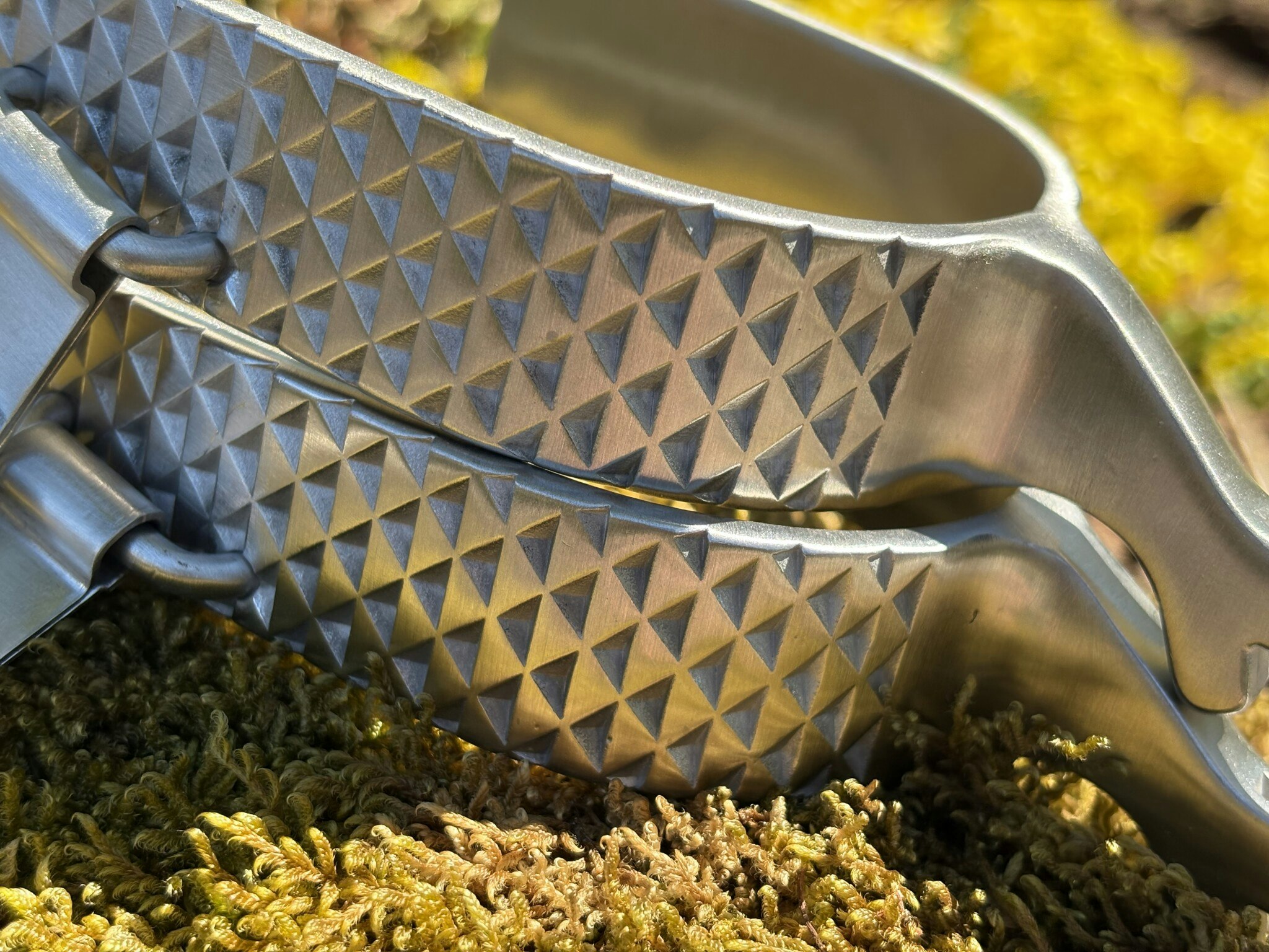 Weaver Mens Spur with Rasp Design