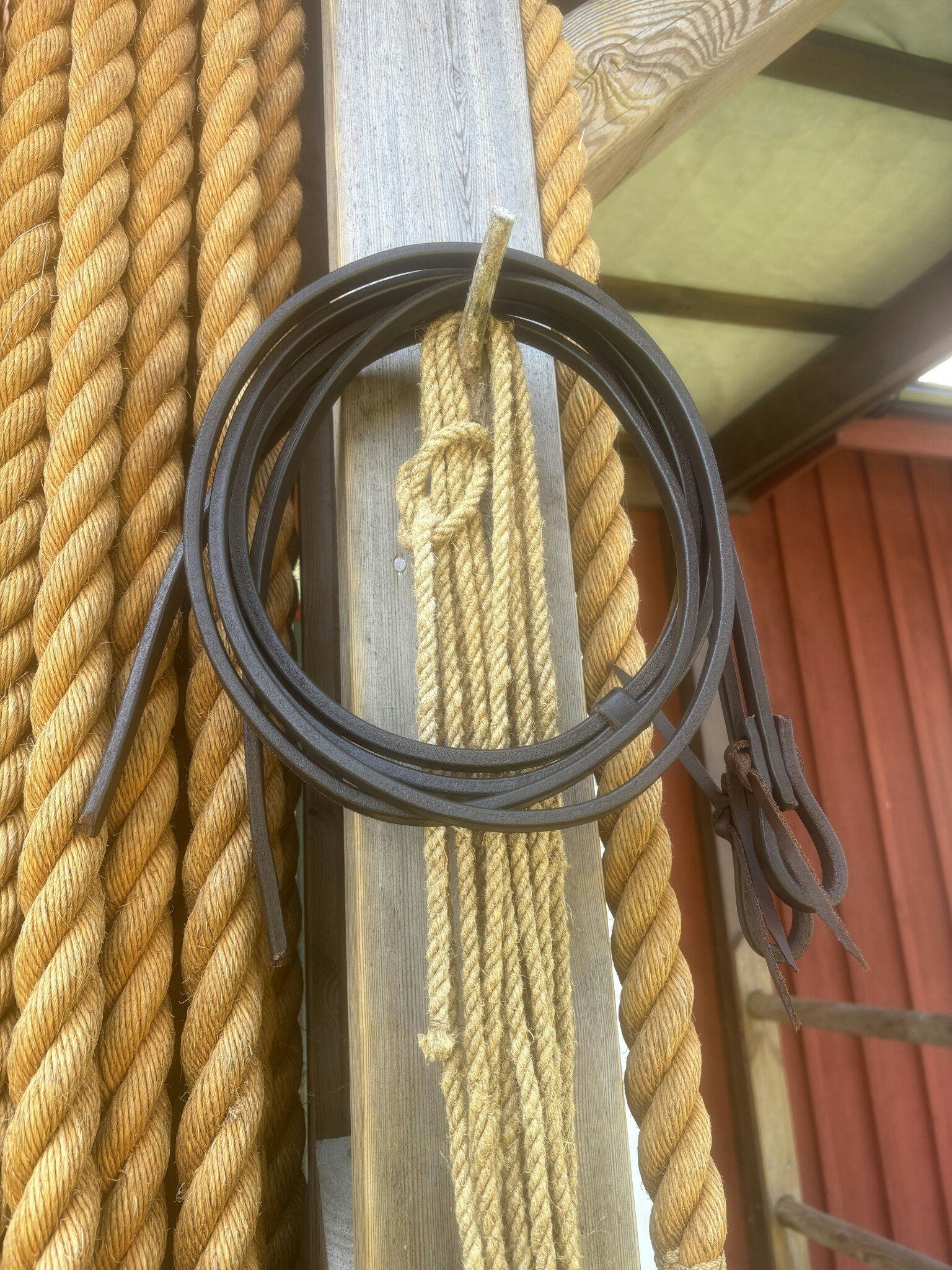 Old World Harness Reins Dark 1/2 tum x 7 feet