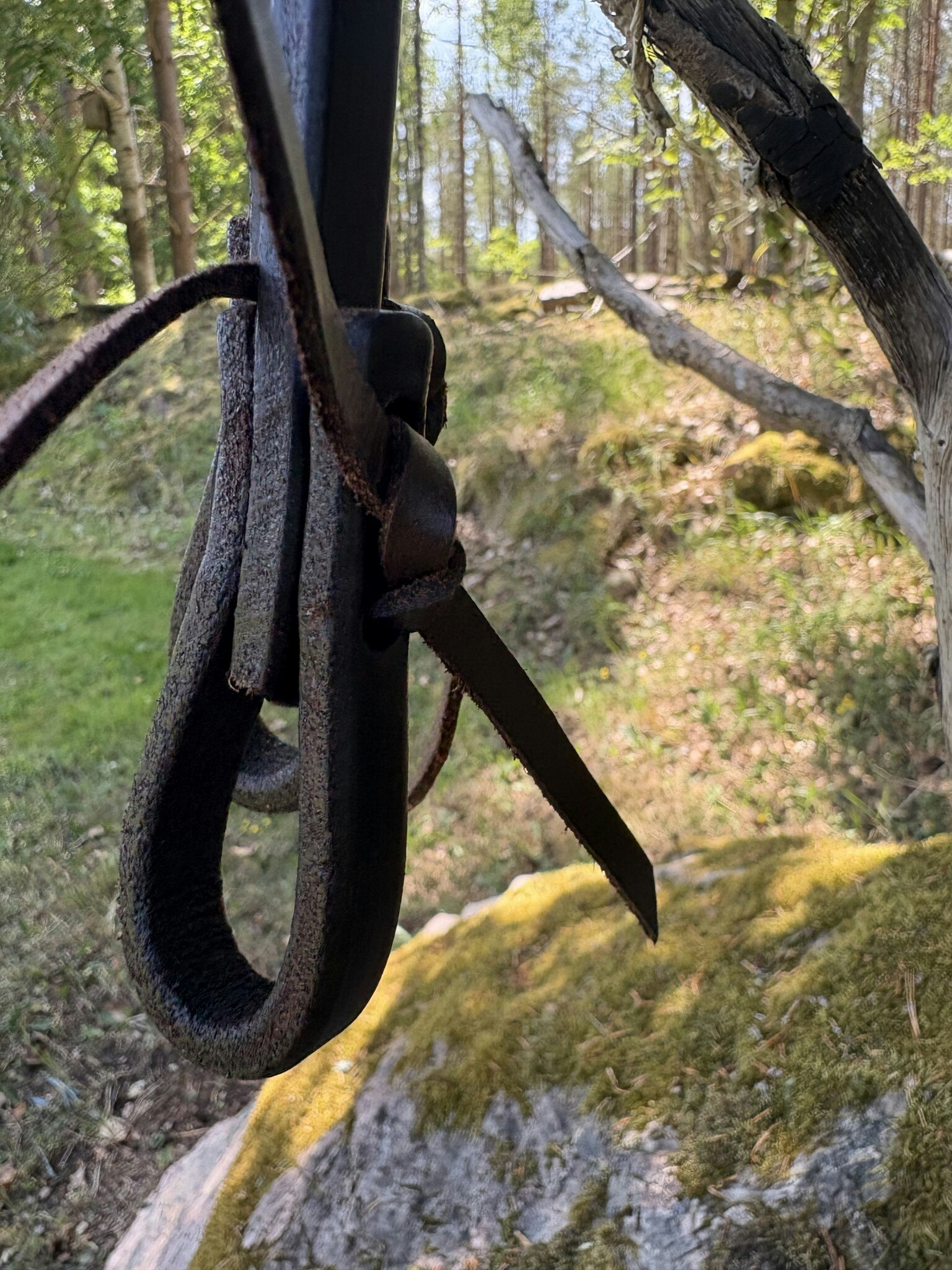 Black harness Reins 5/8 tum x 7 feet