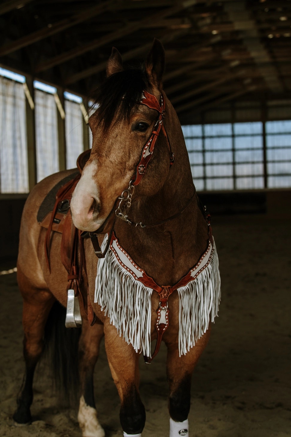Schulz Equine Ponderosa Set med Huvudlag Och Brösta