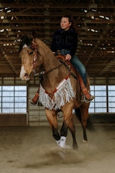 Schulz Equine Ponderosa Set med Huvudlag Och Brösta
