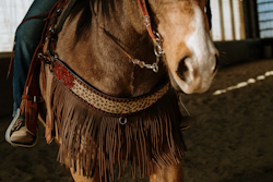 Schulz Equine Tripple Brösta