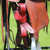 All That Latigo no. 2 - 185cm