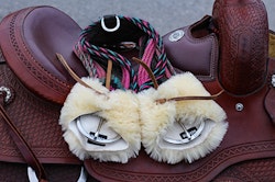 All That Cinch Protector