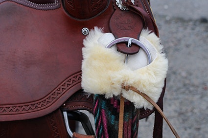 All That Cinch Protector