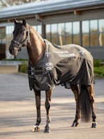 Le Mieux Carbon Cooler Rug