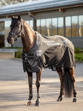 Le Mieux Carbon Cooler Rug