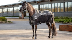 Le Mieux Carbon Cooler Rug