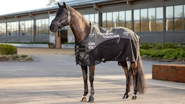 Le Mieux Carbon Cooler Rug
