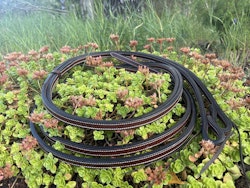 All That Double & Stitched Split Reins