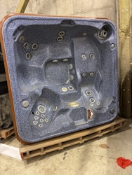 Arctic Spas Cub 2006