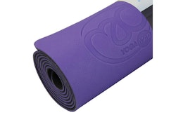 Evolution Yogamatta