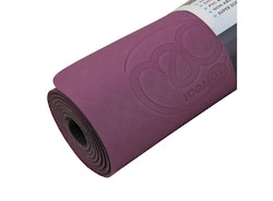 Evolution Yogamatta