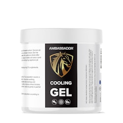 Kylande Gel (300ml)